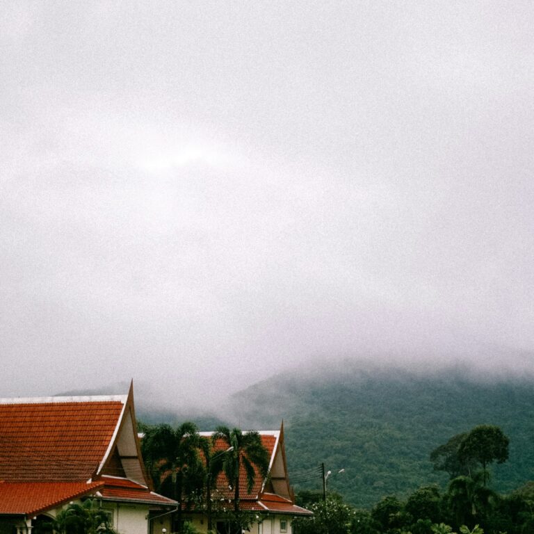 Best Time to Train Muay Thai in Thailand: 2025 Weather Guide